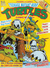 Cover for Teenage Mutant Hero Turtles (Condor, 1990 series) #28