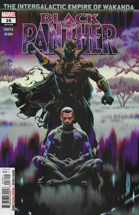 Cover Thumbnail for Black Panther (Marvel, 2018 series) #16 (188)