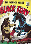 Cover for Black Fury (L. Miller & Son, 1957 series) #54