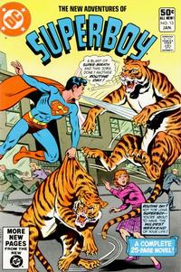 Cover Thumbnail for The New Adventures of Superboy (DC, 1980 series) #13 [Direct]