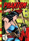 Cover for Phantom Lady (BSV Hannover, 2014 series) #11