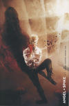 Cover Thumbnail for Angel + Spike (2020 series) #14 [Ben Templesmith Cover]