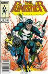 Cover for The Punisher (Marvel, 1987 series) #17 [Newsstand]
