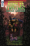 Cover Thumbnail for Teenage Mutant Ninja Turtles: Urban Legends (2018 series) #17 [Retailer Incentive Cover - Kevin Eastman]