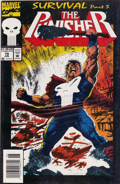 Cover for The Punisher (Marvel, 1987 series) #79 [Newsstand]