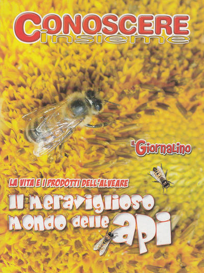 Cover for Supplementi a  Il Giornalino (Edizioni San Paolo, 1982 series) #41/2007 - Conoscere Insieme - Il meraviglioso mondo delle api
