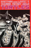 Cover for Teenage Mutant Ninja Turtles (Mirage, 1984 series) #1 [Fifth Printing]