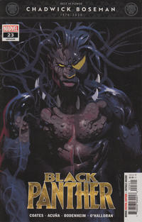 Cover Thumbnail for Black Panther (Marvel, 2018 series) #23 (195)