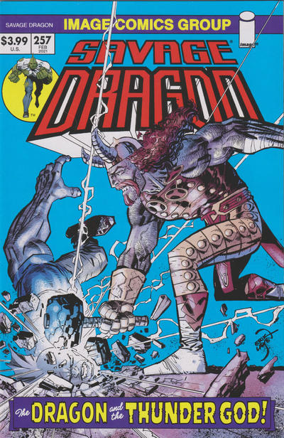 Cover for Savage Dragon (Image, 1993 series) #257 [70's Retro Variant]