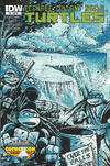 Cover for Teenage Mutant Ninja Turtles (IDW, 2011 series) #34 [Cover RE - Niagara Falls Con Exclusive Kevin Eastman Roughs Variant]
