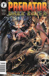 Cover for Predator: Dark River (Dark Horse, 1996 series) #3 [Newsstand]