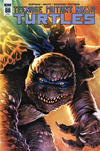 Cover Thumbnail for Teenage Mutant Ninja Turtles (2011 series) #88 [Retailer Exclusive Cover - Felipe Massafera]