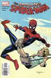 Cover Thumbnail for The Amazing Spider-Man (1999 series) #502 [Direct Edition]