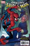 Cover Thumbnail for The Amazing Spider-Man (1999 series) #506 [Direct Edition]