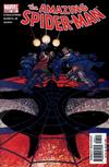 Cover for The Amazing Spider-Man (Marvel, 1999 series) #507 [Direct Edition]