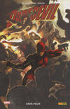 Cover for Daredevil (Panini France, 1999 series) #17