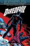 Cover for Daredevil (Panini France, 1999 series) #22