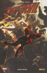 Cover Thumbnail for Daredevil (Panini France, 1999 series) #17
