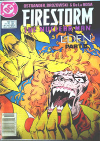Cover Thumbnail for Firestorm the Nuclear Man (DC, 1987 series) #78 [Newsstand]