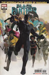 Cover Thumbnail for Black Panther (2018 series) #24 (196)