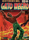 Cover for Misterios del Gato Negro (Editora de Periódicos, S. C. L. "La Prensa", 1953 series) #15