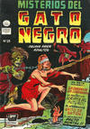 Cover for Misterios del Gato Negro (Editora de Periódicos, S. C. L. "La Prensa", 1953 series) #25