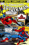 Cover for Spider-Man Komplett (Panini Deutschland, 1999 series) #v1975#6
