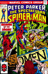 Cover for Spider-Man Komplett (Panini Deutschland, 1999 series) #v1976/77#2