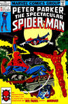 Cover for Spider-Man Komplett (Panini Deutschland, 1999 series) #v1976/77#6