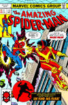 Cover for Spider-Man Komplett (Panini Deutschland, 1999 series) #v1977#9