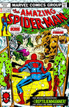 Cover for Spider-Man Komplett (Panini Deutschland, 1999 series) #v1977#3