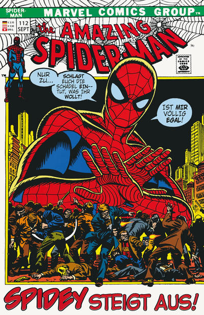 Cover for Spider-Man Komplett (Panini Deutschland, 1999 series) #v1972#9