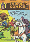 Cover for Indrajal Comics (Bennett, Coleman & Co., 1964 series) #v25#13
