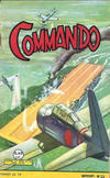 Cover for Commando (Arédit-Artima, 1959 series) #22