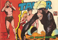 Cover Thumbnail for Tamar (Ediciones Toray, 1961 series) #29