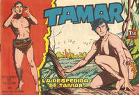 Cover Thumbnail for Tamar (Ediciones Toray, 1961 series) #38