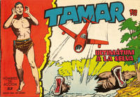 Cover Thumbnail for Tamar (Ediciones Toray, 1961 series) #53