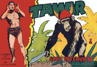 Cover Thumbnail for Tamar (Ediciones Toray, 1961 series) #105