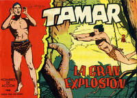 Cover Thumbnail for Tamar (Ediciones Toray, 1961 series) #108