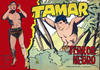 Cover for Tamar (Ediciones Toray, 1961 series) #172
