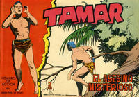 Cover Thumbnail for Tamar (Ediciones Toray, 1961 series) #171