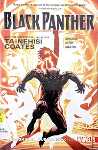 Cover Thumbnail for Black Panther (Marvel, 2016 series) #[2] - A Nation Under Our Feet Book 2