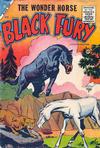 Cover for Black Fury (Charlton, 1955 series) #3