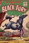 Cover for Black Fury (Charlton, 1955 series) #6