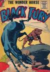 Cover for Black Fury (Charlton, 1955 series) #8