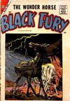 Cover for Black Fury (Charlton, 1955 series) #14