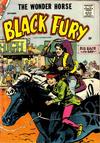 Cover for Black Fury (Charlton, 1955 series) #15