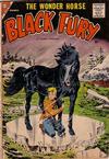 Cover for Black Fury (Charlton, 1955 series) #16