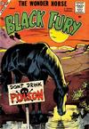 Cover for Black Fury (Charlton, 1955 series) #17