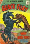 Cover for Black Fury (Charlton, 1955 series) #18